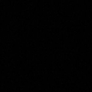 Meet your Posher, Bella